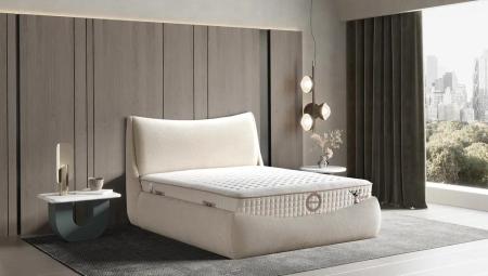 Estera Baza Başlık