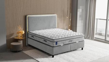 Aronya Baza Başlık